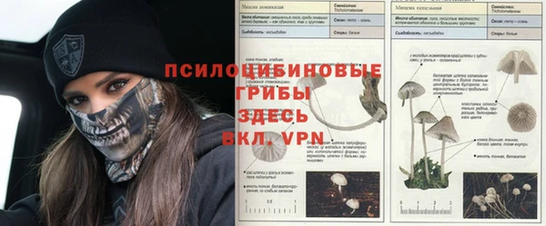 мет Армянск
