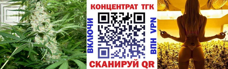 shop какой сайт  Калининец  Дистиллят ТГК THC oil 